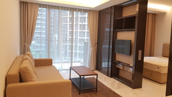 Cairnhill Nine (D9), Apartment #178271212